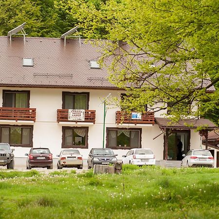 Cabana Barlogul Lupilor Villa Berevoesti Eksteriør bilde