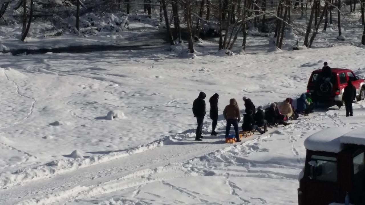 Cabana Barlogul Lupilor Villa Berevoesti Eksteriør bilde